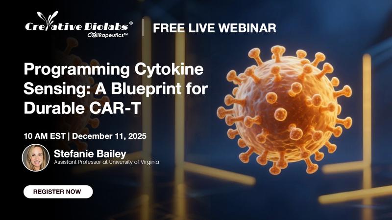 creative biolabs stefanie bailey.jpg