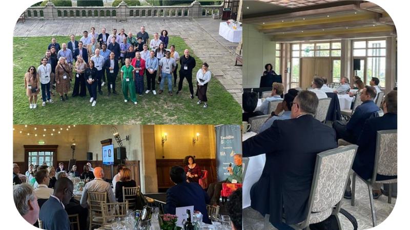 Cornerless Image (4).png