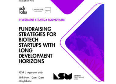 LLSW 2025 events - fundraising strategies.png
