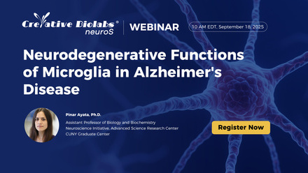 webinar-82283911704.jpg