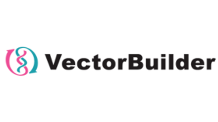 vector builder.png