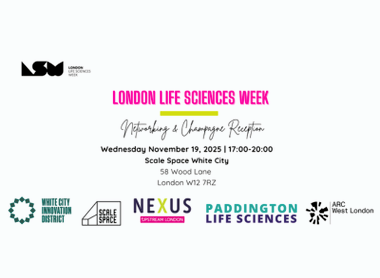 LLSW 2025 events - scale space.png