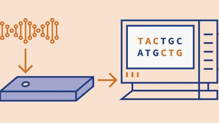 Genomics-4-01.jpg 1