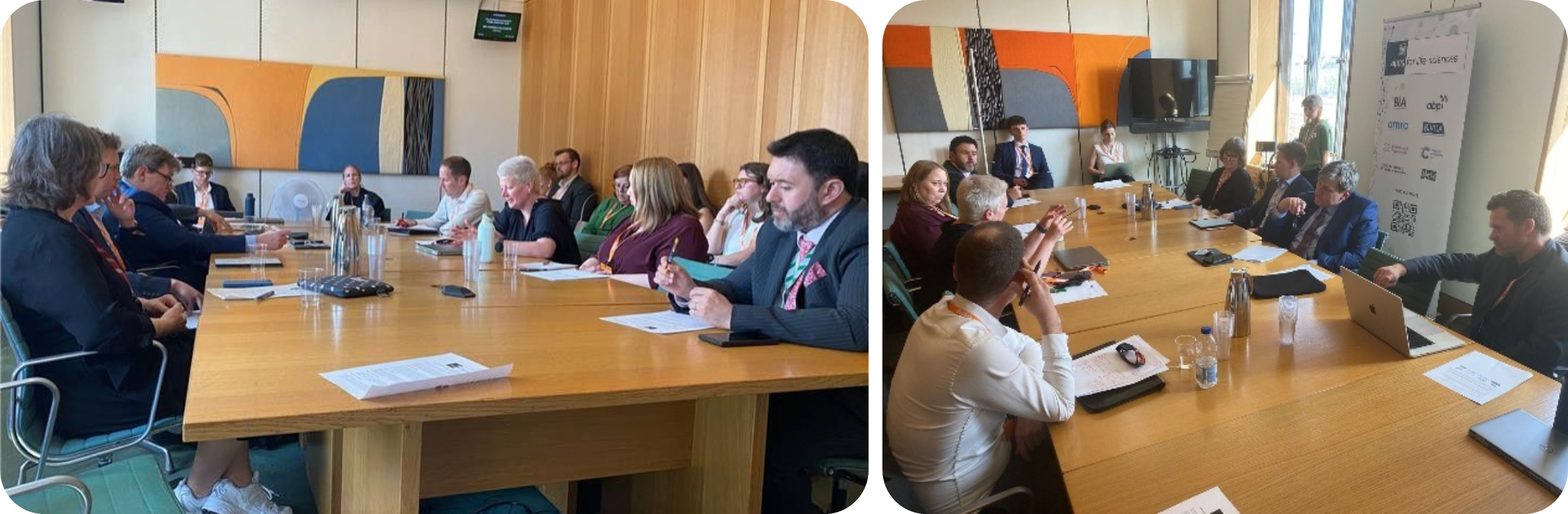 APPG LSSP roundtable collage.png