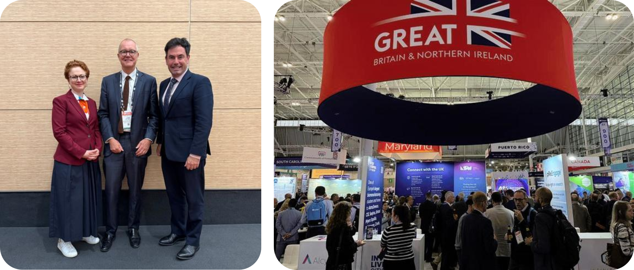 BIO boston collage.png