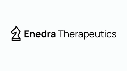 Enedra+logo.png