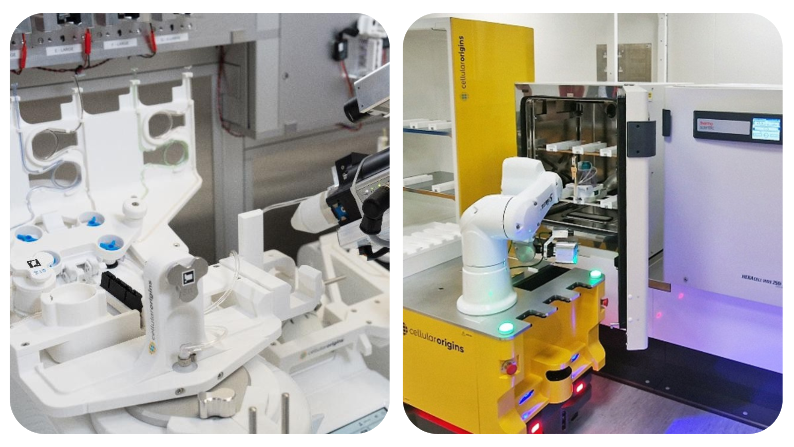 Cellular Origins’ Constellation platform at Cytiva  and Cell and Gene Therapy Catapult.png