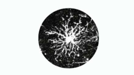 Website resources pics (74).png